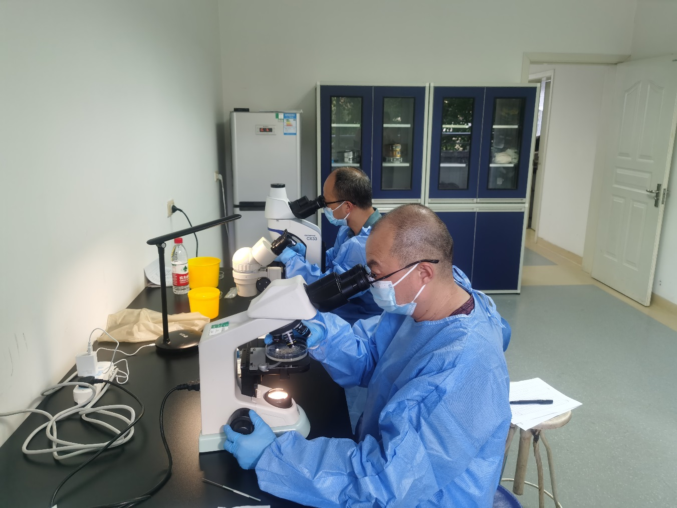 1694748085372011726.png 1694748085372011726.png